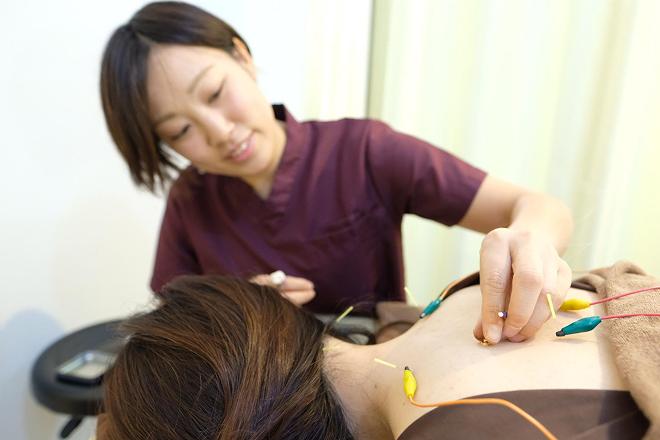 からだケア - 画像1